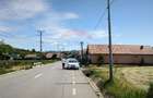Teren de vanzare Blajel, jud. Sibiu | 15.360 mp - p... - 9