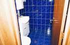 Apartament cu 4 camere decomandat în Ultracentral - 9