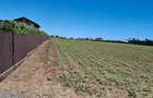Teren intravilan costinesti 4000m2 - 5