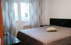 Apartament cu 4 camere decomandat în Vitan - 4