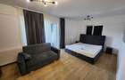 Apartament 1 camera spatios, Visan Bucium, mobilat complet Proprietar - 11