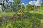 Teren intravilan Baia Sprie 815 mp - 5