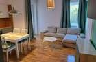 Apartament 3 camere cu terasa langa Parcul Carol! - 9