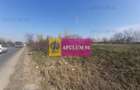 Teren de 4800 mp, în Glina - 15