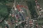 Teren Construcții intravilan de 700 mp, în Tăuții-Măgherăuș - 4