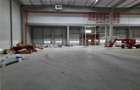 Spatiu Industrial - 7050 mp - Logistica - Productie - Depozitare - Distributie - 14