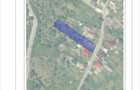 Vand casa batraneasca Serbanesti/Calimanesti+ 4000 mp teren extravilan - 5