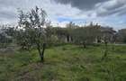 Vadu-Exclusivitate, casa 75mp, teren 1917 mp/31ml deschidere, centru - 12