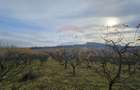 Teren extravilan 10,791mp Falticeni / Strada DJ209A, Opriseni - 7
