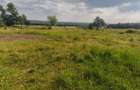 Casă individuală cu 3 camere cu Teren 5000 Mp în Exterior Nord - 8