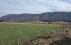 TEREN INTRAVILAN-INDUSTRIAL - 1
