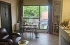 Apartament cu 2 camere semidecomandat în Sebastian - 7