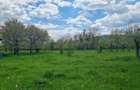 Casă cu 7 camere cu Teren 20855 Mp în Curtea de Argeș - 9