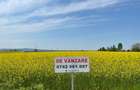 Vand terenuri Intravilane Seini 1000 euro ar (toate utilita?ile) - 2