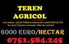 Teren AGRICOL categoria A- com Nufaru sat Victoria - 8