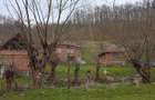 Casa + teren de vanzare, sat Poieni, comuna Densus, Hunedoara - 4
