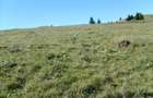 vand teren intravilan FUNDATICA pozitionare superba- de o parte Piatra Craiului, de cealalta Masivul - 3