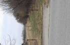 Vand teren intravilan - 2