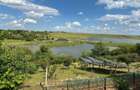 Casa cu iesire la lac | 2.453 mp teren | Panouri fotovoltaice 9 kW, sat Naipu judet Giurgiu - 8
