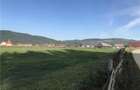 Vand teren Comandau (Covasna) - 1