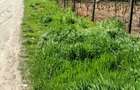 Teren intravilan 1500 m2, Sat Rasa, Comuna Gradistea - 4