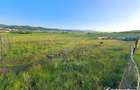 Teren agricol de 900 mp, în Florești - 7