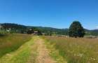 Teren 10.011mp sat Sarisor, comuna Saru Dornei, judetul Suceava - 7