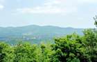 Ansamblu reziden?ial 5 case de vacan?a in Plaiu Campinei, Prahova - 5