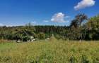 Vand teren intravilan cu casa 7400 mp in Sasca Mare, Suceava - 2