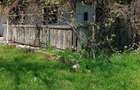 Casă cu 2 camere în Mireșu Mare - 9