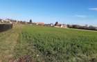 Vand teren intravilan construibil bine pozitionat in Lunca Calnicului - 1