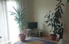 Proprietar - FĂRĂ AGENȚIE - Apartament decomandat 1 cameră, etaj 2, str. Gheorgh - 3