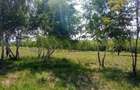 Teren intravilan de 900 mp, în Casele Micești - 5