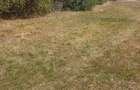 Teren Intravilan, situat in Sat Tismana (zona Gornovita) - 9
