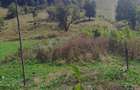 Casa de vanzare + teren in sat poieni , comuna densus , judet HD - 2