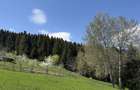 Vand teren pentru cabana - 4