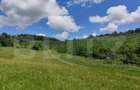 Teren extravilan de 28500 mp, în Gușterița - 8