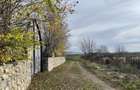 Teren intravilan de vanzare - 3