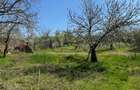 Casă cu Teren 2000 Mp în Valea Fetei - 2