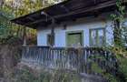 Casa ?araneasca cu livada ?i gradina mare,Vata de jos,Hunedoara - 2