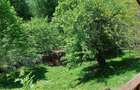 Casă cu 2 camere cu Teren 3400 Mp în Ghelari - 9