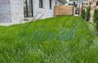 Casa tip cvadriplex 4 camere, 150 mp, Zona Sub Cetate - 4
