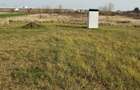 Vand teren 20 ari langa centura Satu Mare zona Ratu Mare-Balta Blonda. - 6