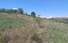 Teren Construcții intravilan de 9600 mp, în Topești - 1