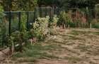 Urziceni.Ialomita.500 mp.Intravilan, pentru casa. - 3