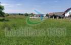 Cicarlau, teren intravilan, zona de case, suprafata 2936 mp - 3
