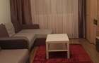 Apartament de inchiriat zona Mircea cel Batran - 4
