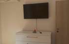 Apartament cu 2 camere semidecomandat în Banu Manta - 5