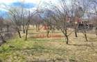 Teren intravilan in Poiana Campina --3676 mp--8e - 1
