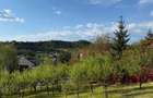 Teren Intravilan 730 mp Valea Mare, Stefanesti, Arges - 5